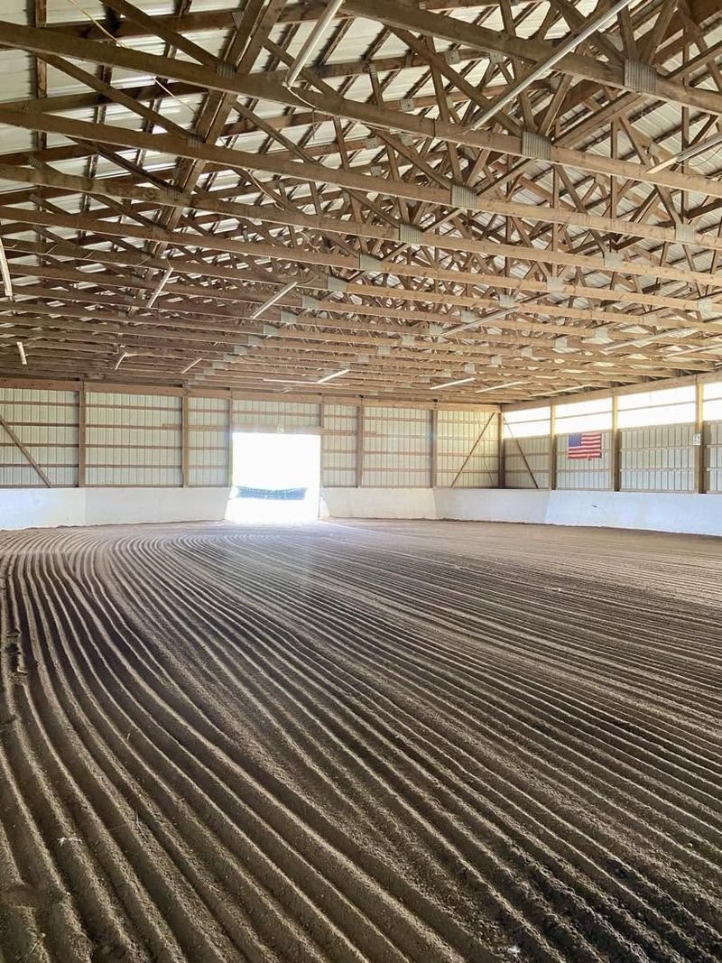 The indoor riding arena with freshly dragged sand footing, open timber roof trusses and a wide door letting in daylight