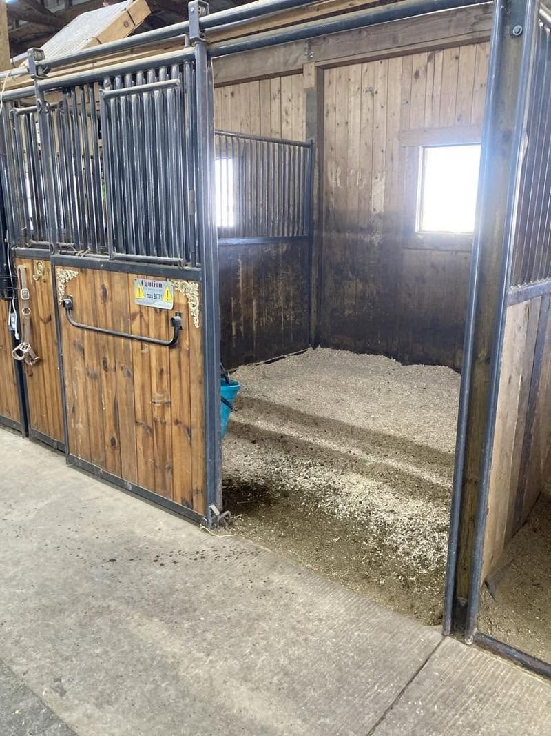 An open box stall with wood-lined walls, a metal grille front, an exterior window and fresh shavings bedding
